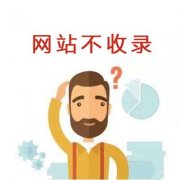 如何加快网站收录情况