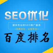 收录数比较多的网站排名都会比较好