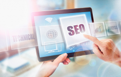 SEO优化如何优化网站的收录情况？
