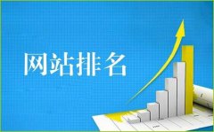 网站排名异常波动时该如何处理
