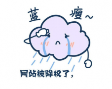 SEO网站优化中怎么判断网站是否被惩罚和降权?